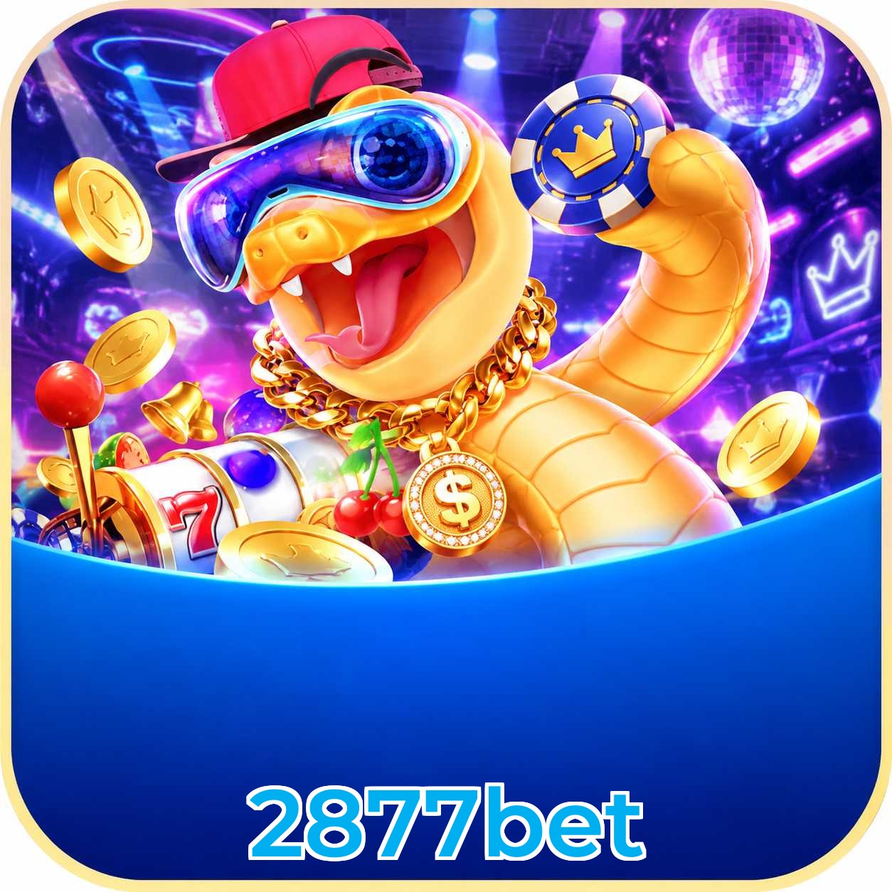 2877bet Live Casino Overview